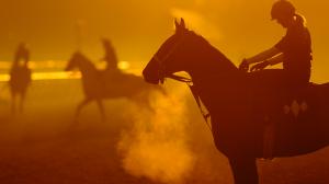 Saratoga Race Course, Eclipse Sportswire